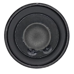 Image of speaker