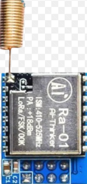 Image of Lora Ra-01