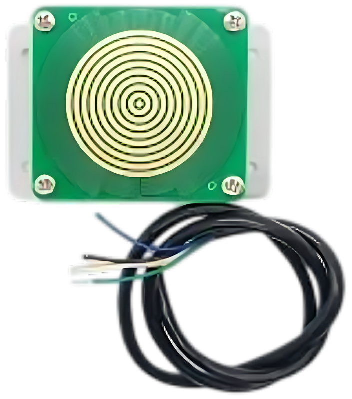 Image of Rain and Snow