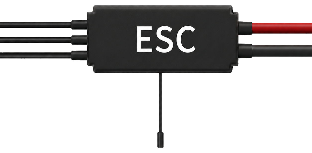 Image of ESC