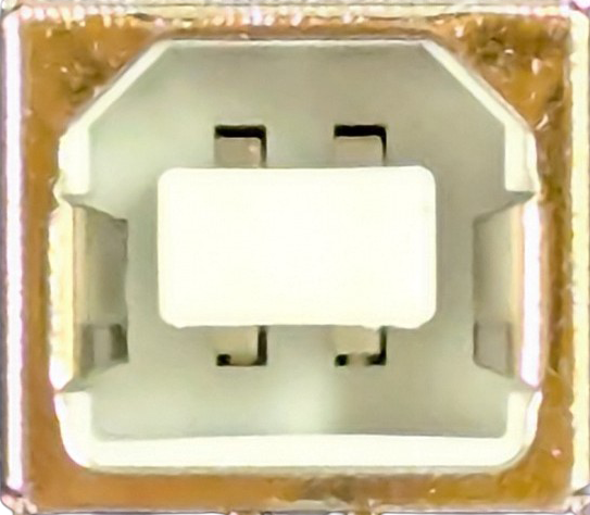 Image of USB Type B Female