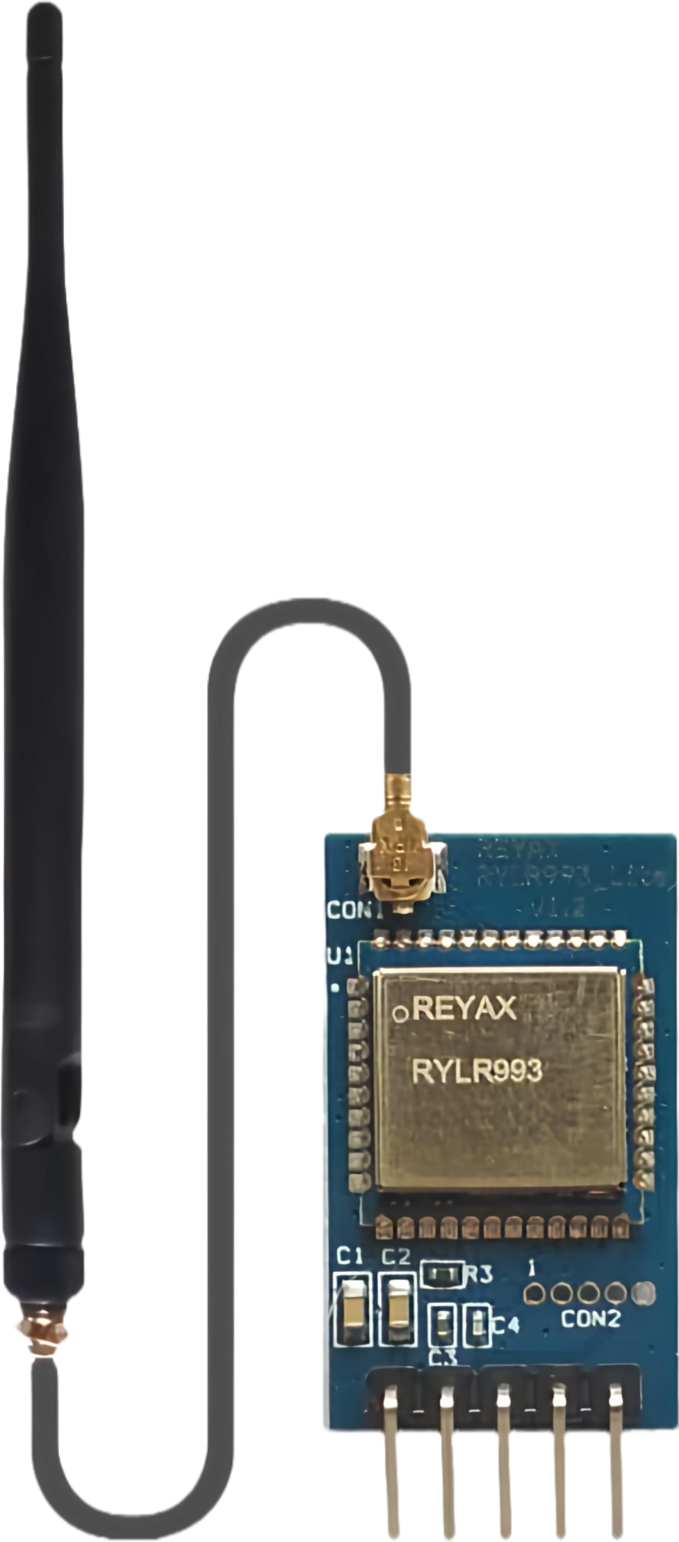 Image of RYLR993_Lite