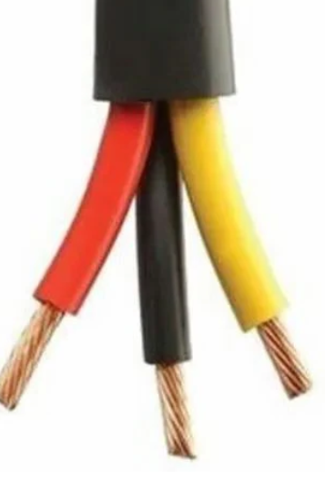 Image of 3 Core polycab wire - 2.5sqmm