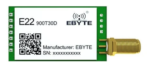 Image of lora e22