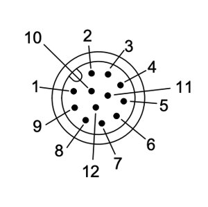 Image of M12 12 pin