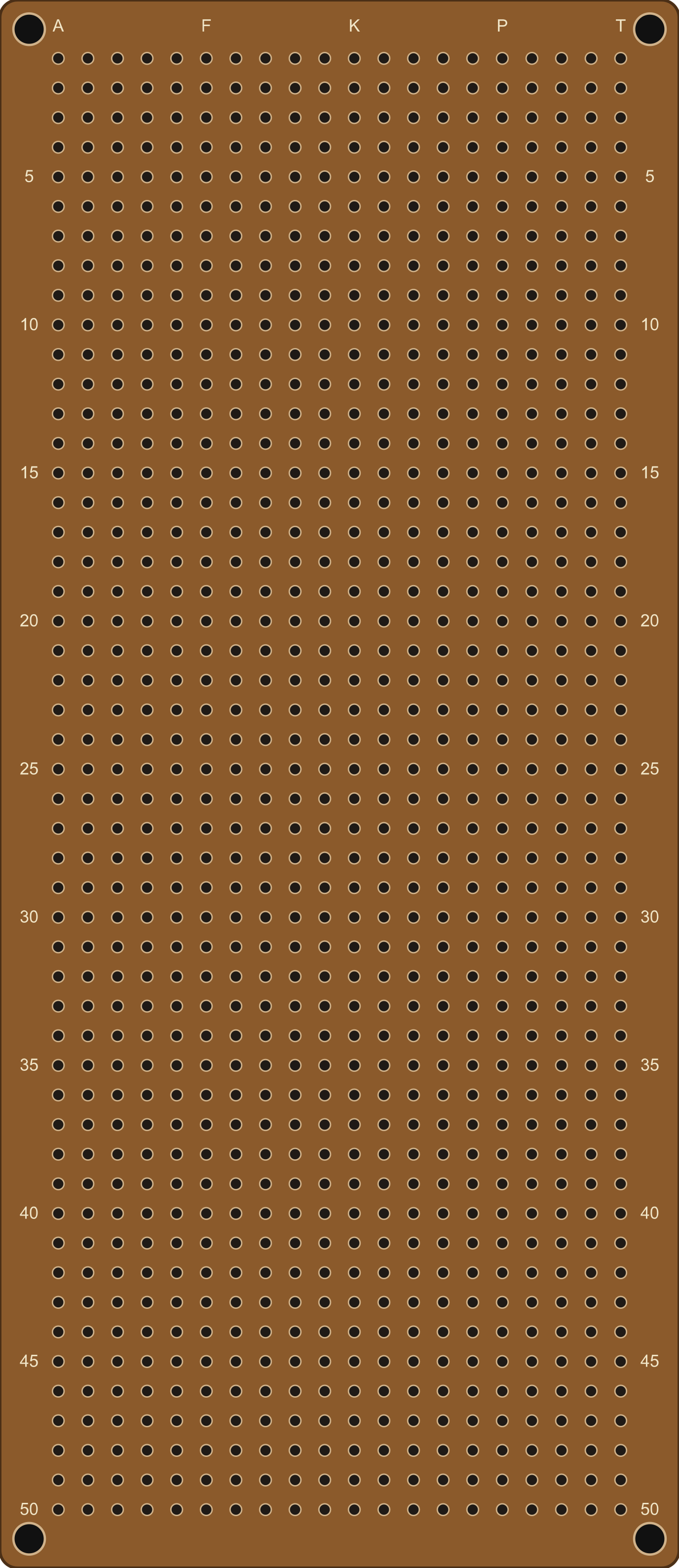 Image of 20x50 PCB2