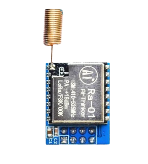 Image of Lora Ra-01