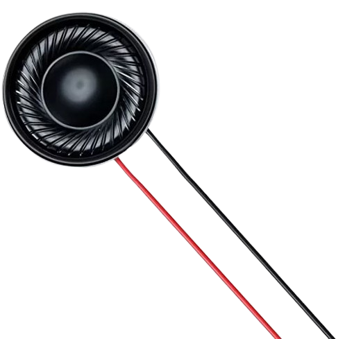 Image of speaker