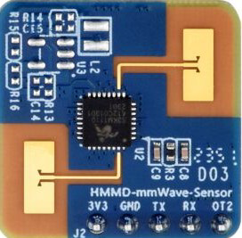 Image of mmWave Sensor