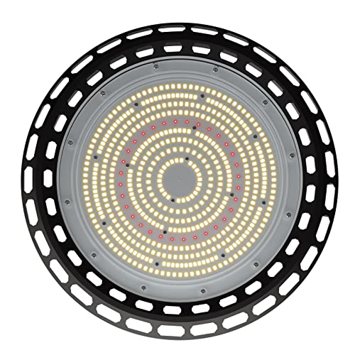 Image of 12V LED